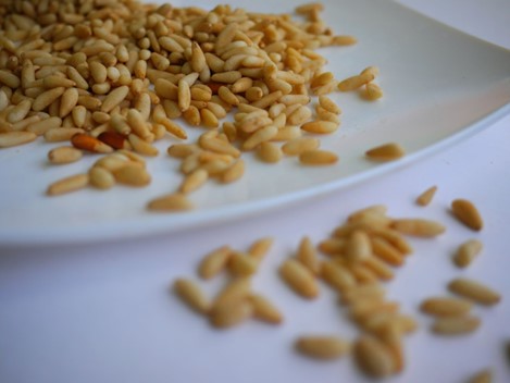 Pine nuts on white plate