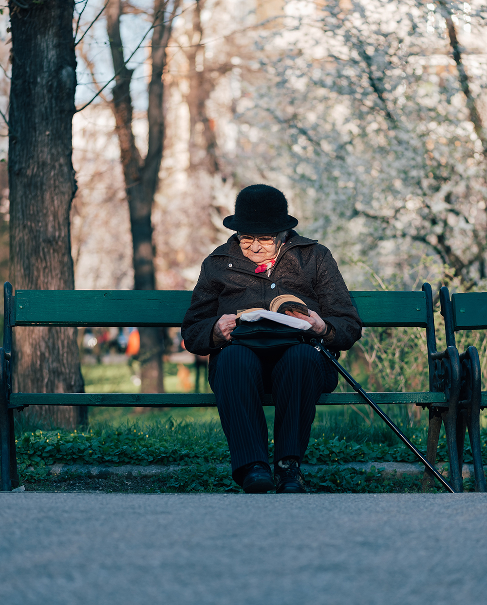 Woman reading on a bench in park